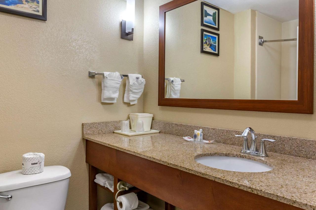 Hotel Comfort - Garner Clayton